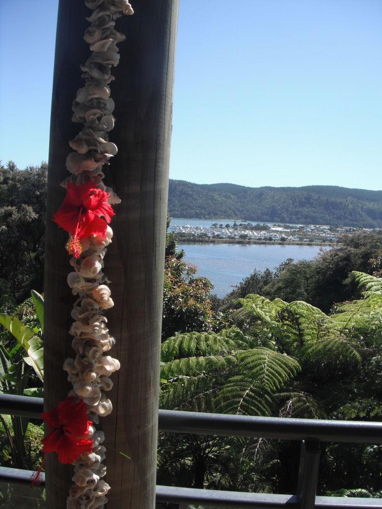 Whangamata Vistas B&B Extérieur photo